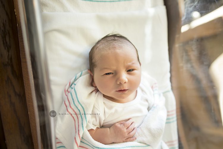 katy texas newborn hospital fresh 48 best baby photographer