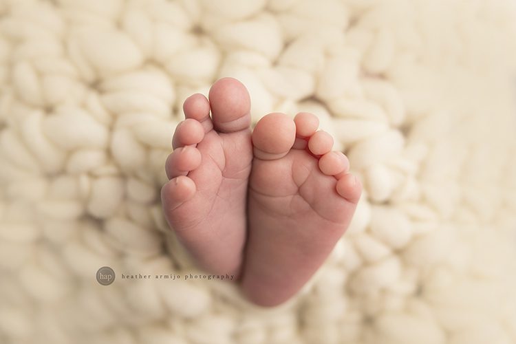 katy houston texas baby newborn best great professional photographer