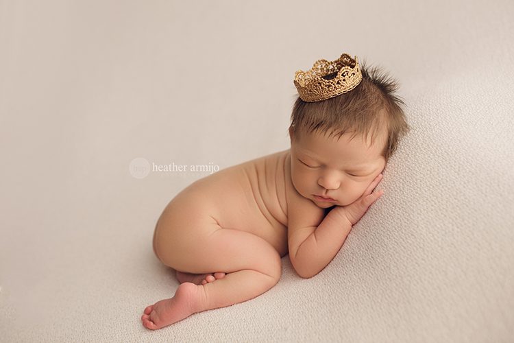 houston katy texas nebworn baby studio posed photographer