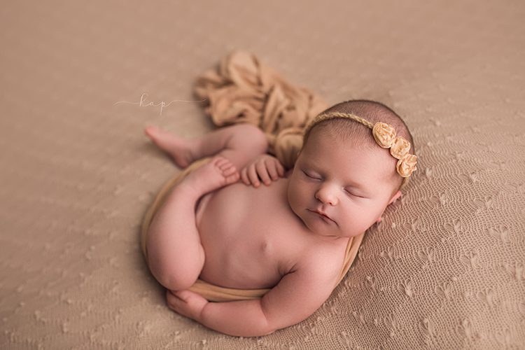 houston katy texas newborn baby studio posed photographer