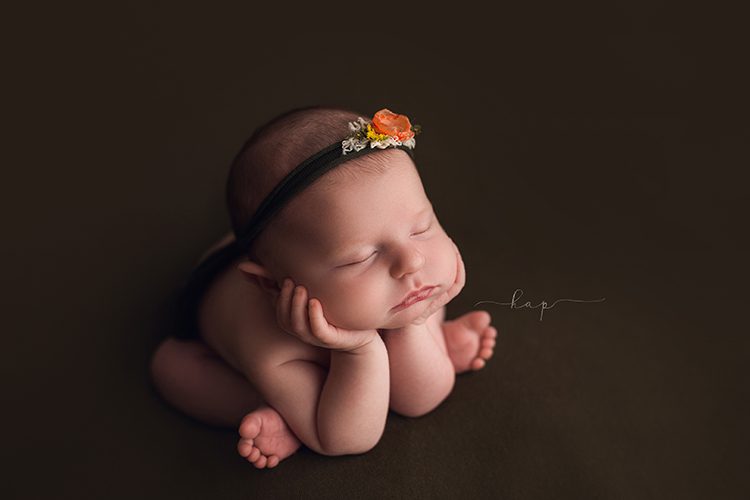 houston katy texas newborn baby studio posed photographer