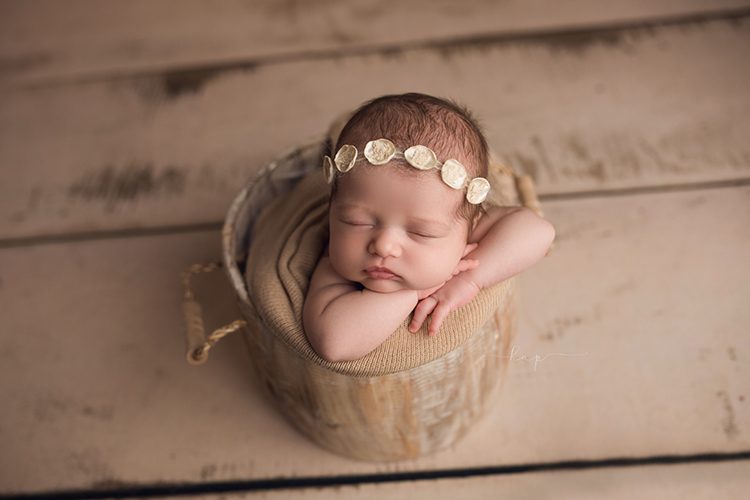 best houston katy texas newborn baby studio posed photographer