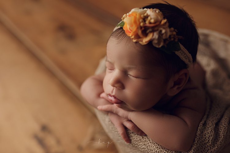 best houston katy texas newborn baby studio posed photographer