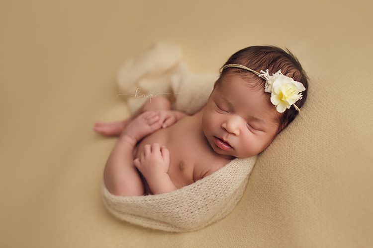 best houston katy texas newborn baby studio posed photographer