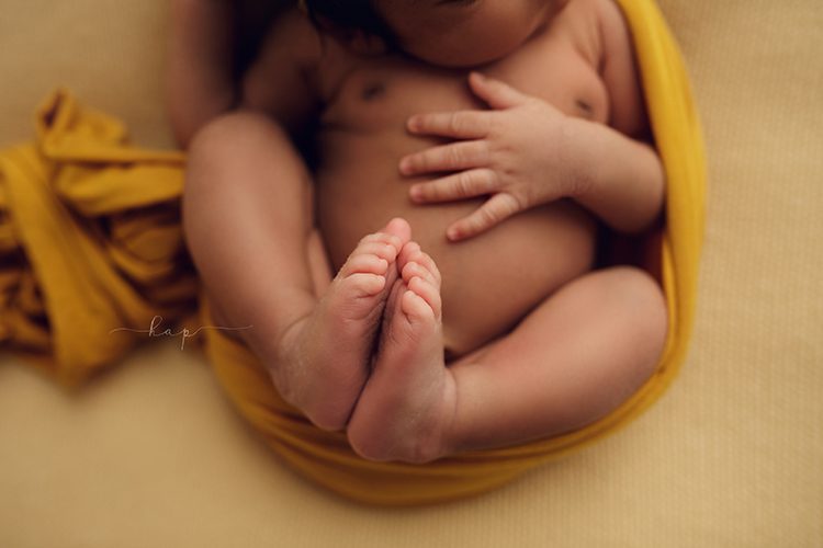 best houston katy texas newborn baby studio posed photographer
