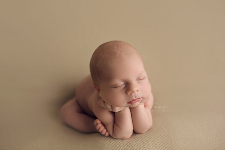 best houston katy texas newborn baby studio posed photographer