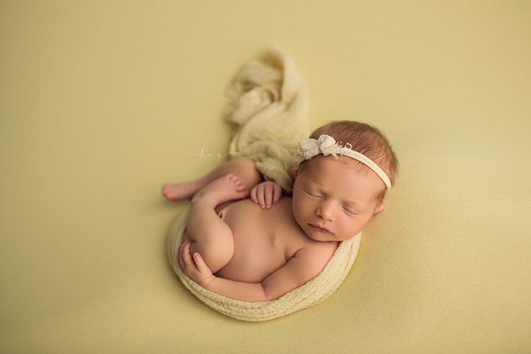 best houston katy texas newborn baby studio posed photographer