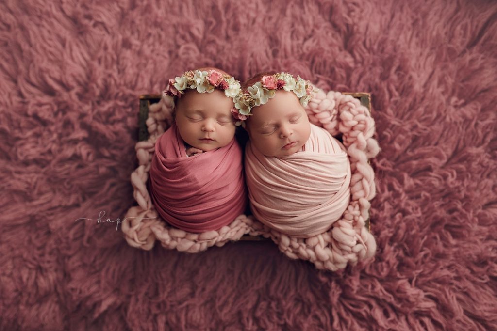 best houston katy texas newborn baby studio twins multiples posed photographer