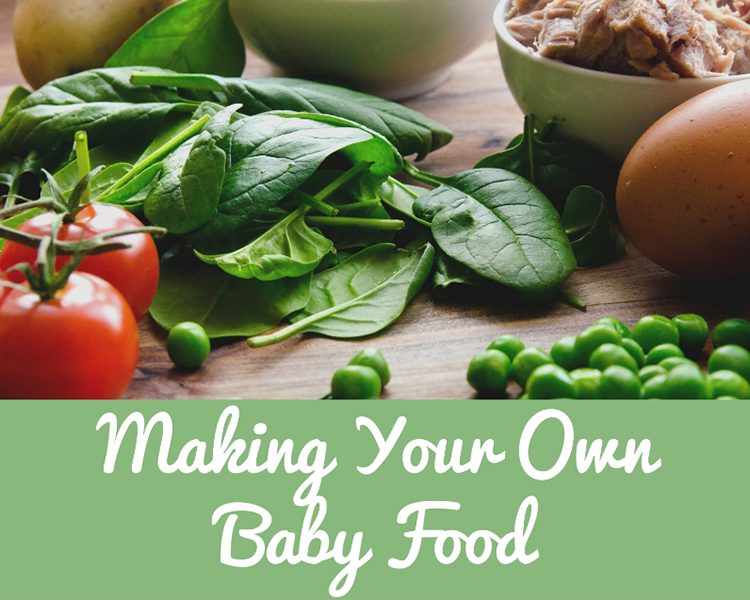 make your own baby food houston texas