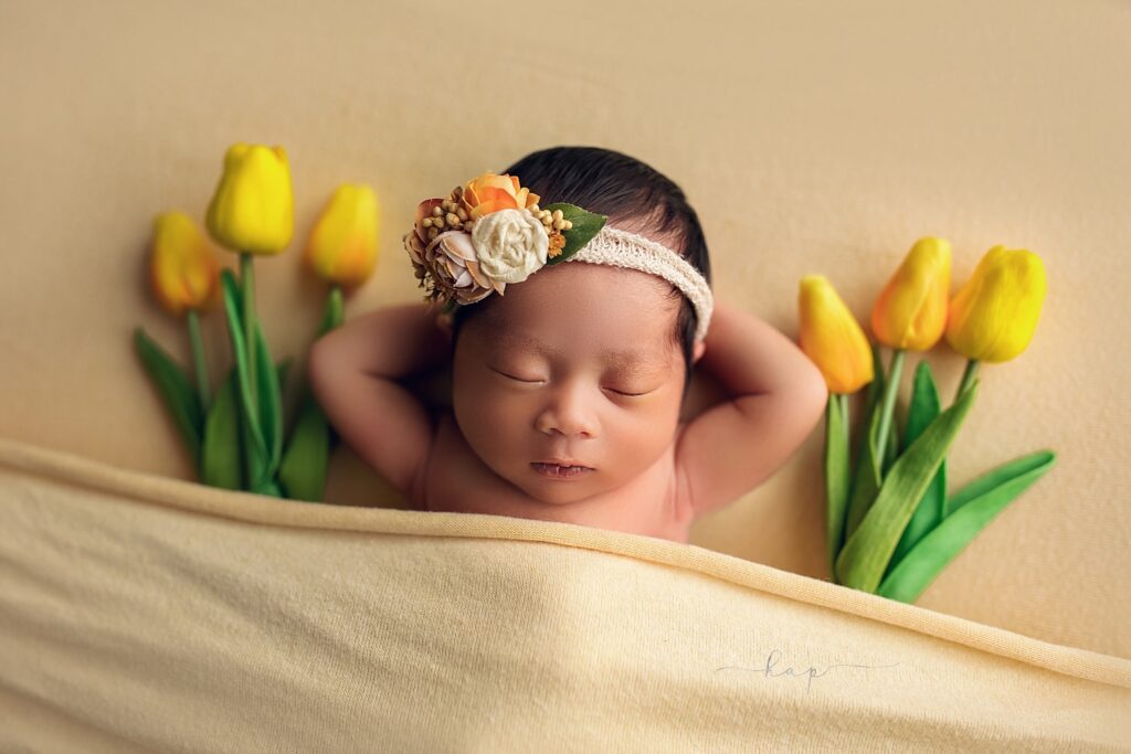 katy baby houston newborn photographer studio photos